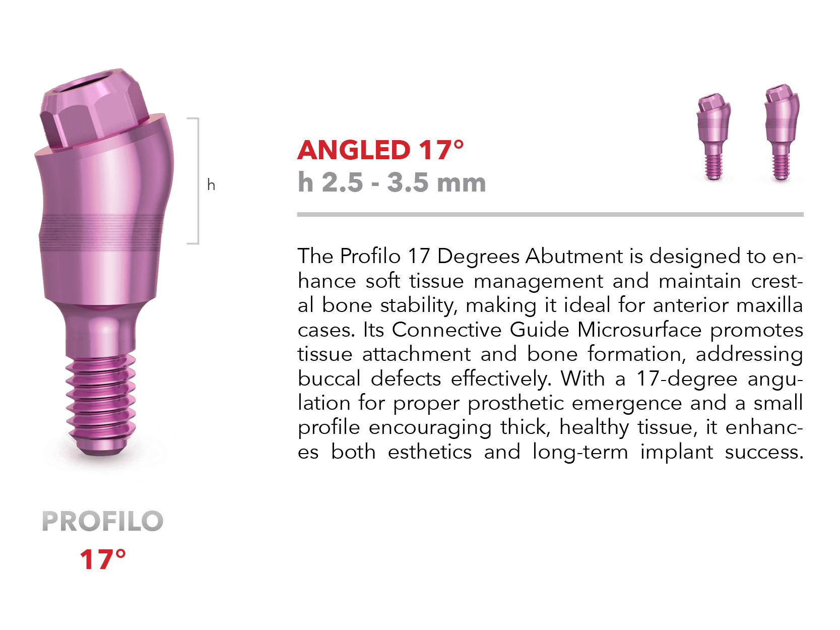 Profilo abutment - Angled 17°