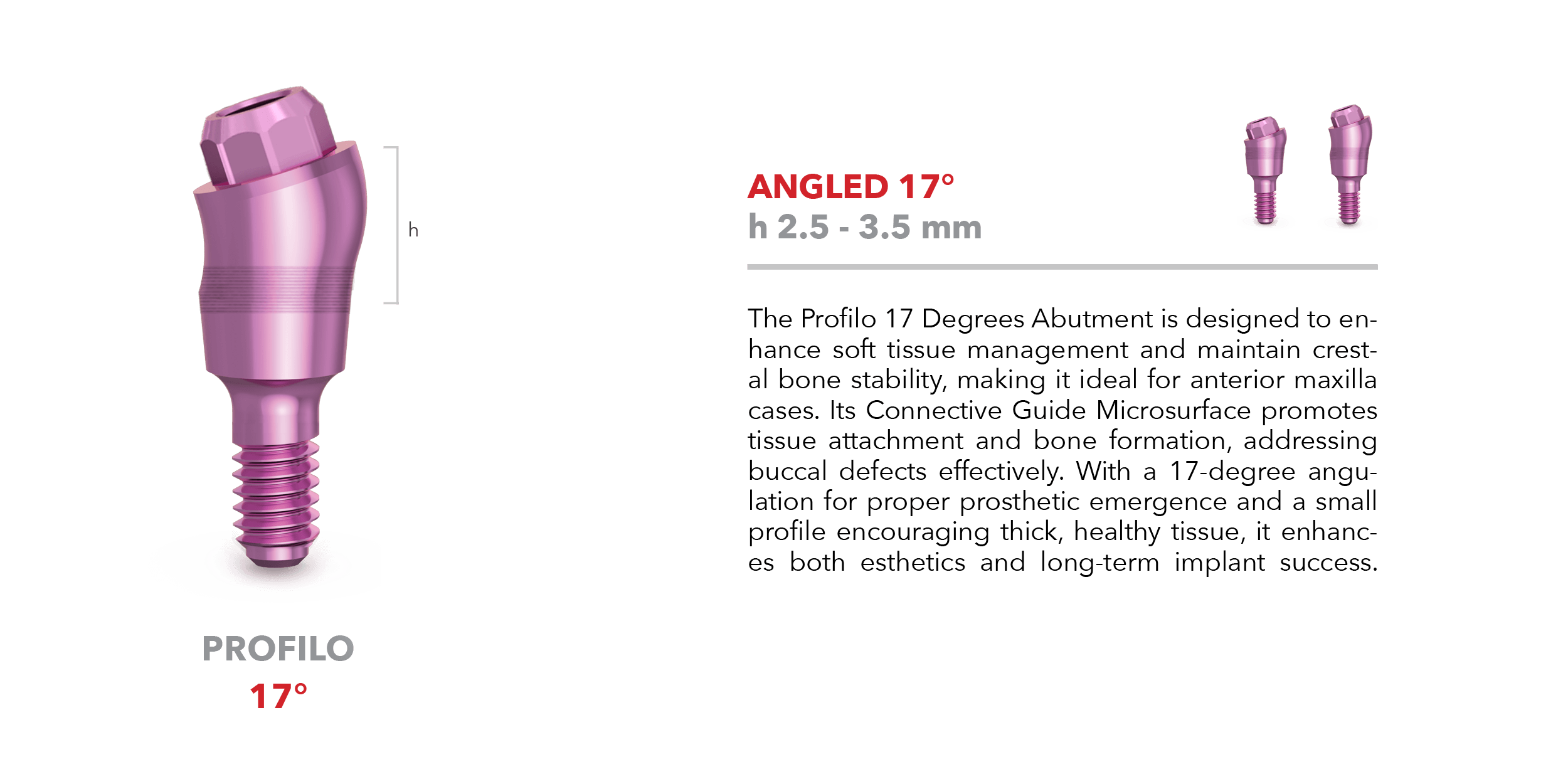 Profilo abutment - Angled 17°